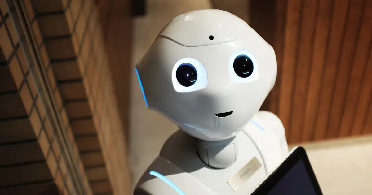 Why a dashboard is not enough (and what you need instead)