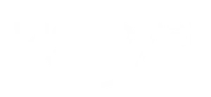 DigiSocial