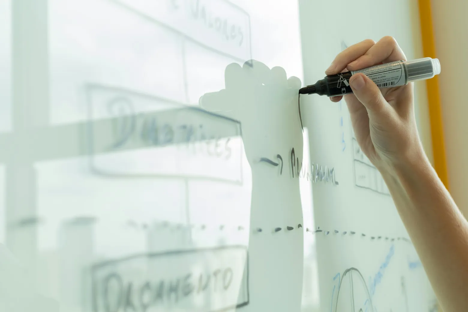 Organising AI literacy: a plan per role, in five minutes